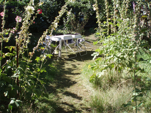 You are currently viewing Moins de pesticides au jardin : Une chance pour la santé, la nature et le porte-feuille !