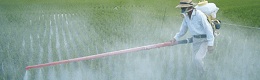 You are currently viewing Paquet Pesticide européen: mention très bien