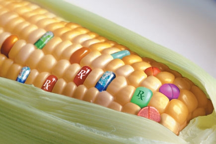 You are currently viewing OGM – la Commission propose un marché de dupe !