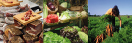 Lire la suite à propos de l’article 1 décembre 2010 – Namur – journée « Alimentation durable »