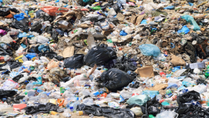 Lire la suite à propos de l’article Plastiques : recyclables mais pas recyclés
