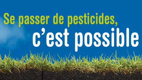 You are currently viewing Se passer de pesticides, c’est tellement bon !!