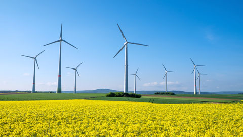 You are currently viewing Avis d’IEW sur l’avant-projet « énergies renouvelables » wallon