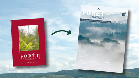 You are currently viewing Découvrez la revue FORÊT.NATURE, version actualisée de Forêt Wallonne