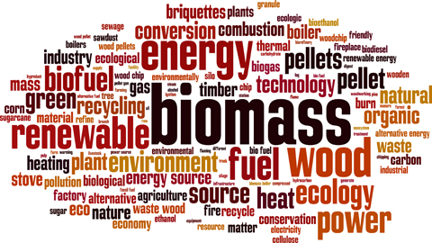 You are currently viewing Paquet énergie climat 2030 : la Commission européenne suit IEW sur la centrale biomasse !
