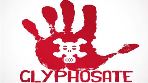 You are currently viewing Glyphosate : le vote du Parlement Européen inspirera-t-il la Commission ?