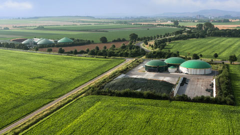 You are currently viewing Victoire : le Gouvernement wallon se détourne des grandes centrales « biomasse » électriques !