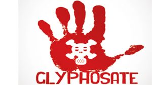 Lire la suite à propos de l’article Bannir le glyphosate : un jalon indispensable sur la voie d’un autre modèle agricole