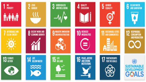 You are currently viewing Les SDGs, un levier pour le changement ?