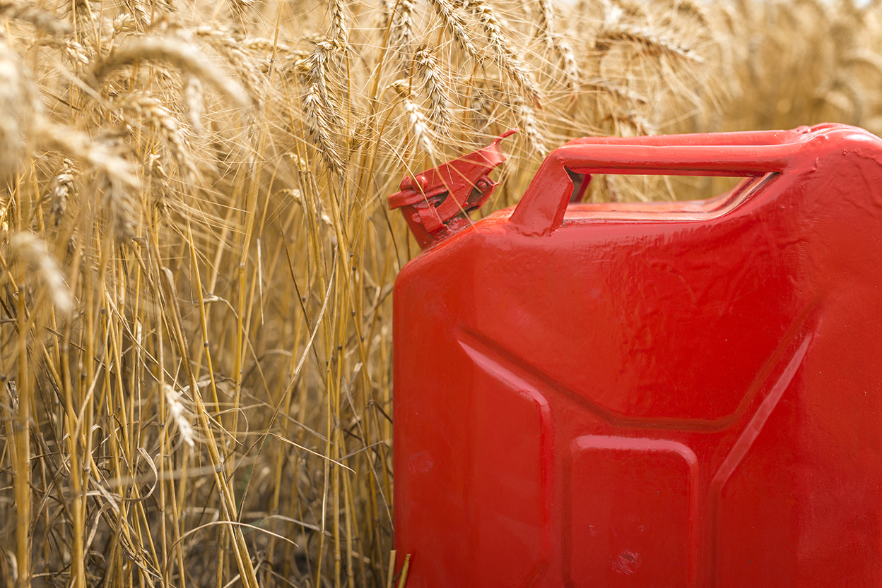 You are currently viewing Crise alimentaire mondiale : Il est temps de réduire fortement notre usage de biocarburants
