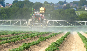 Pesticides et effets sur la santé : nouvel état des lieux