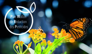 Plan Wallon de Réduction des Pesticides : participez à l'enquête publique !